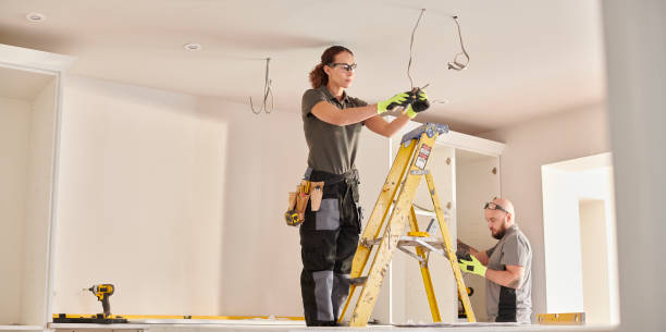 Best Electric Panel Repair  in Little Falls, MN