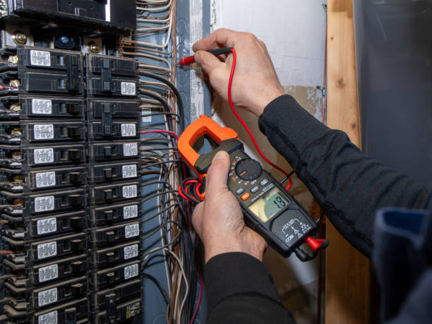 Best Electrical Repair Services  in Little Falls, MN